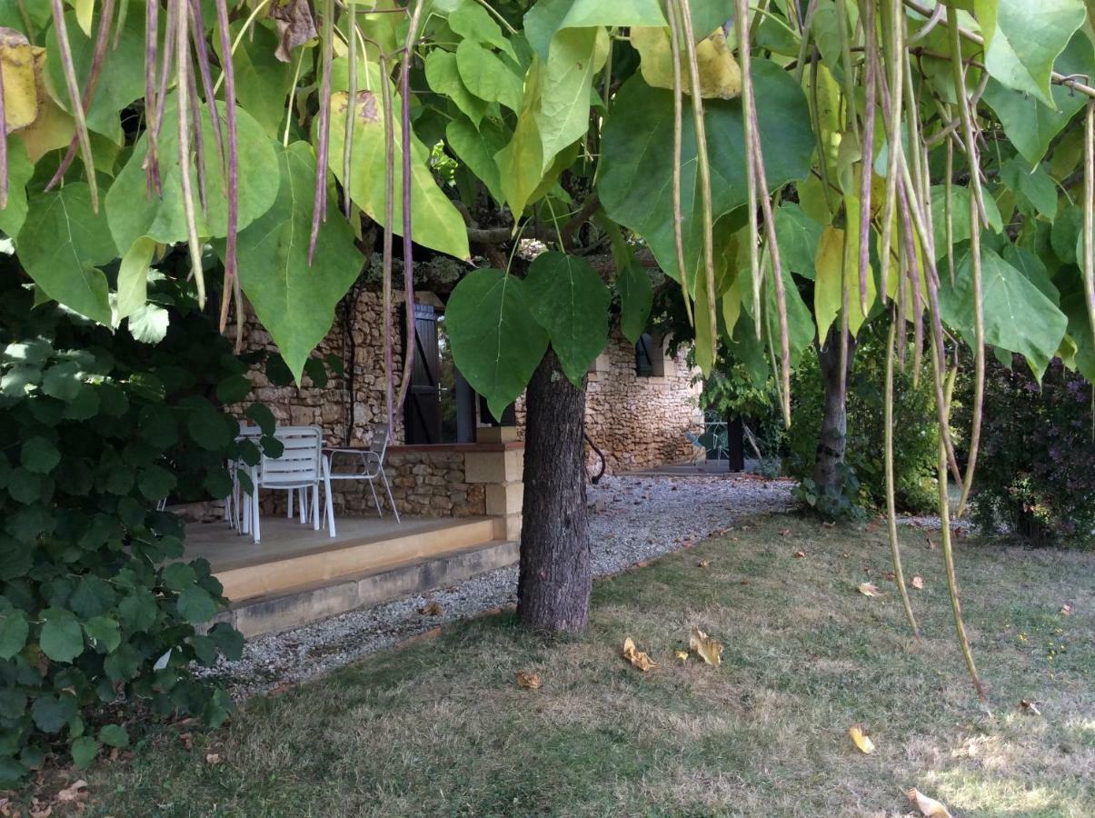 Domaine De Manilau Le Buisson-de-Cadouin Exterior foto